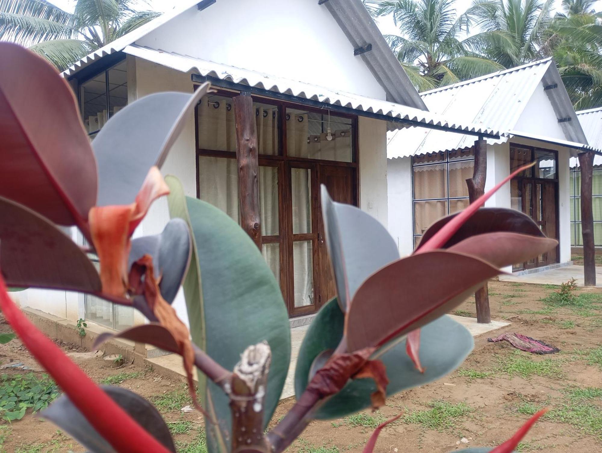 Paramount Safari Cottage Удавалаве Екстериор снимка